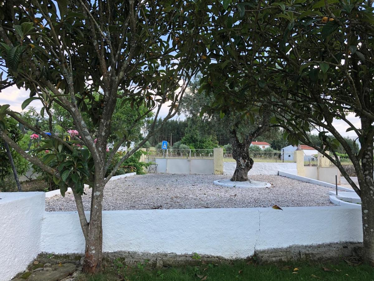 A Casa Amarela Pinheiro de Coja Exterior foto